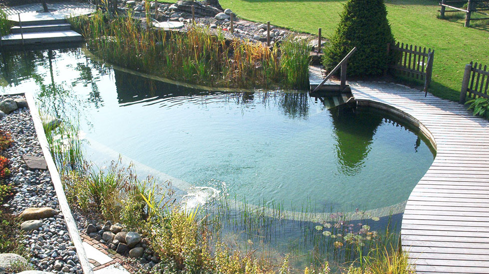 BIOTOP Schwimmteiche Gartenteiche Naturpools